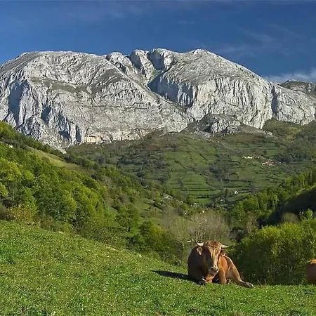 Laendliches Haus La Carrozal Senda Del Oso By Interhome * Orelleiru